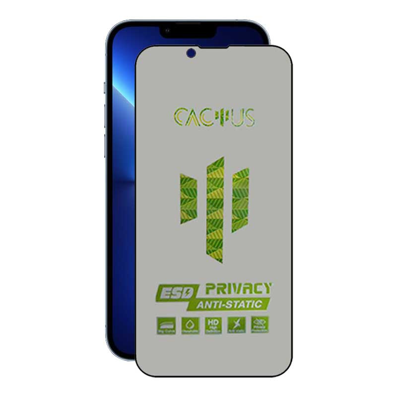 محافظ صفحه نمایش حریم شخصی اپیکوی مدل Cactus-ESD-Privacy مناسب برای گوشی موبایل اپل iPhone 14 Plus / 13 Pro Max